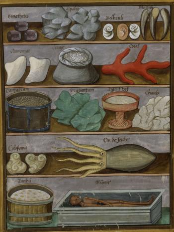 cabinet de curiosité