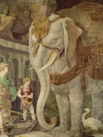 éléphant blanc harnaché