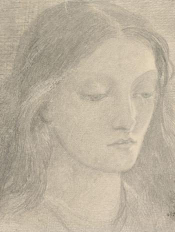 tête d'une jeune femme aux cheveux longs