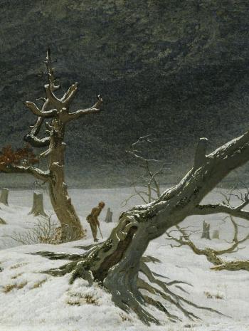 arbre déchiquetés dans la neige