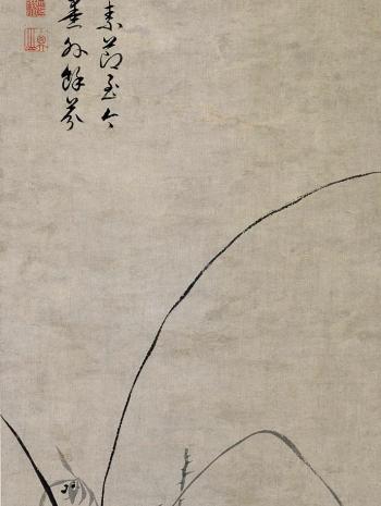 Une fleur d'orchidée, aux feuilles largement déployées. 