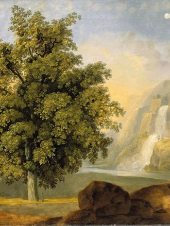 Paysage avec un arbre