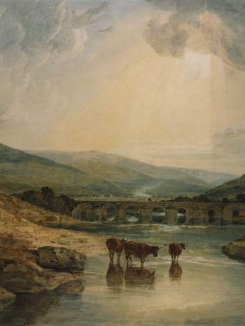 vaches au milieu d'une rivière, au fond un pont