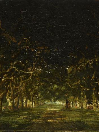 sous-bois avec un allée de chataigniers