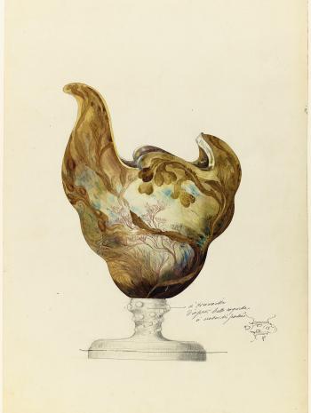 dessin d'un  nautile et à décor d’algues