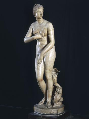 Venus medicis copie romaine, d'après Praxitèle, galerie des offices, Florence