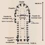 Plan de la cathédrale de Reims