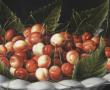 Coupe de cerises, prunes et melon