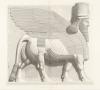 Monuments de Ninive : façade m, taureau (porte K, 1), de profil