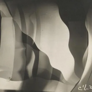Photogramme abstrait aux formes sinueuses en noir et blanc