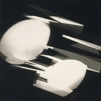 Photogramme abstrait composé de formes ovoïdes blanches et d'éclats géométriques sur fond noir.